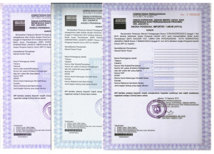 IZIN ANGKA PENGENAL IMPOR (API-U)