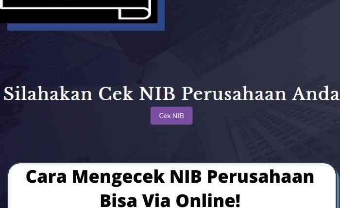 Cara Mengecek NIB Perusahaan Bisa Via Online!