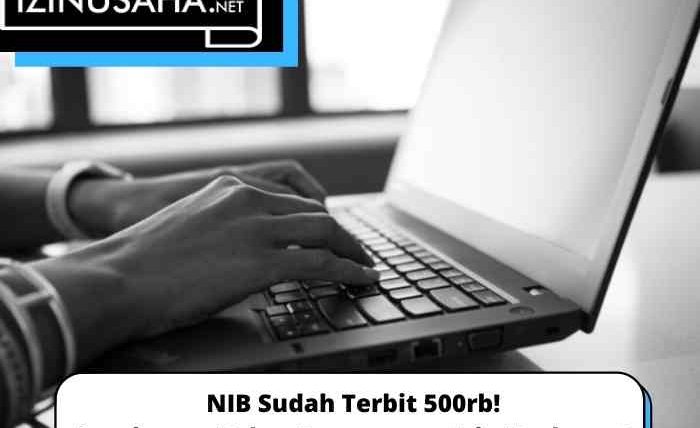 NIB Sudah Terbit 500rb! Bagaimana Kabar Pengurusan Izin Usahamu?