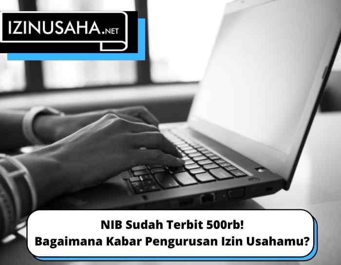 NIB Sudah Terbit 500rb! Bagaimana Kabar Pengurusan Izin Usahamu?